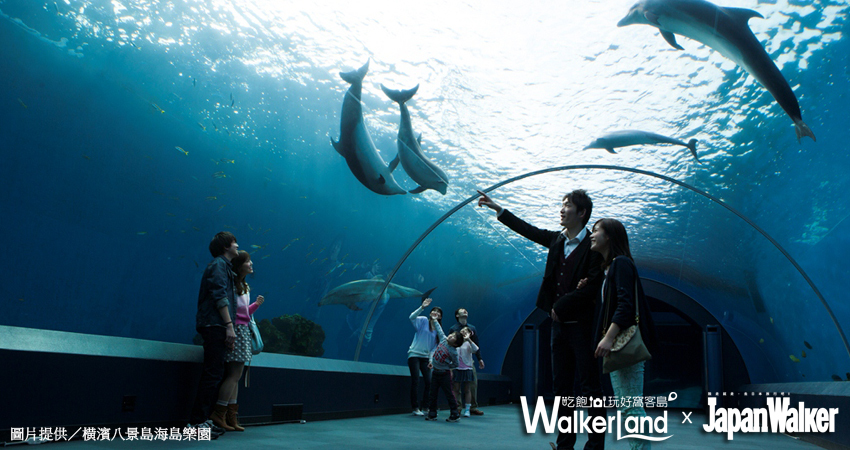 華泰名品城 / WalkerLand窩客島提供 未經許可，不得轉載