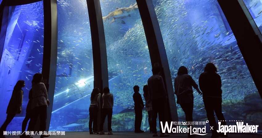 華泰名品城 / WalkerLand窩客島提供 未經許可，不得轉載