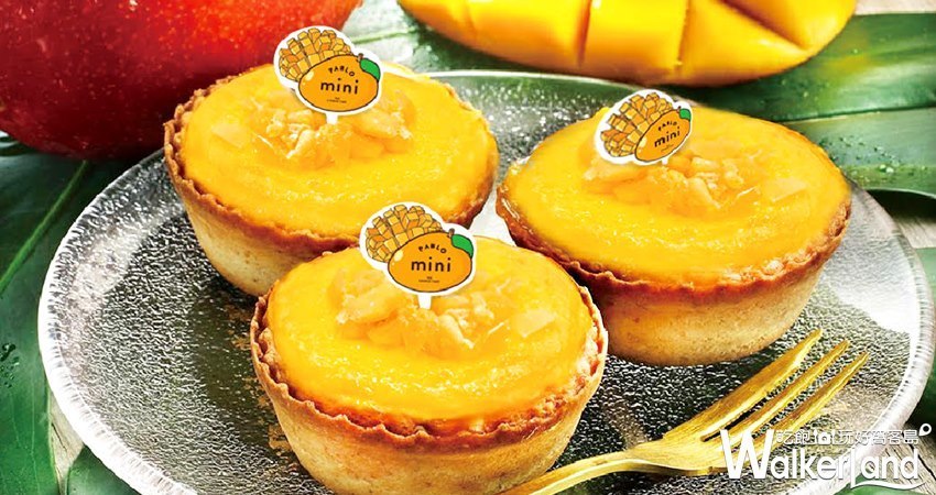 半熟起司塔PABLO mini台中中港新光店 / WalkerLand窩客島整理提供 未經許可不可轉載