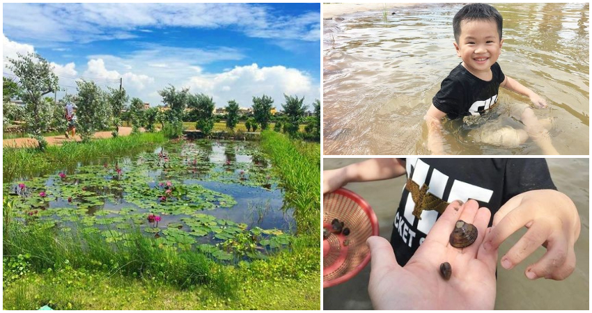 台中大甲美食 匠師的故鄉 台中大甲美食 匠師的故鄉