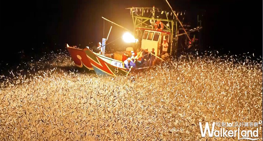 金山蹦火船 金山蹦火船