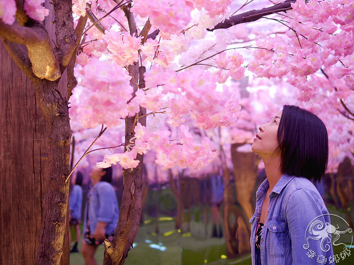 章魚娜娜 曾在「幻●彩●影 萬花筒特展」