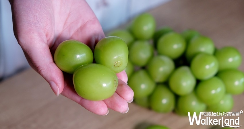 「誠品生活號」期間限定店 / WalkerLand窩客島整理提供 未經許可不可轉載