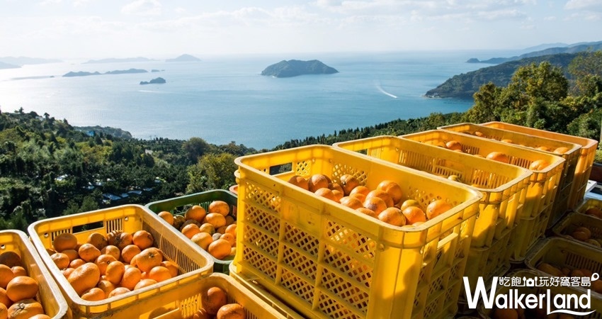 「誠品生活號」期間限定店 / WalkerLand窩客島整理提供 未經許可不可轉載