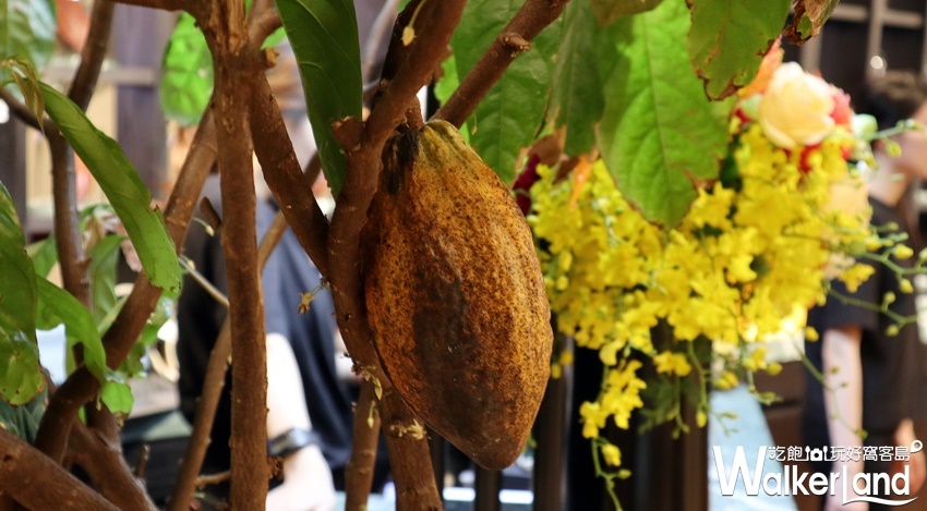 福灣巧克力 台北101直營店 / WalkerLand窩客島整理提供 未經許可，不得轉載