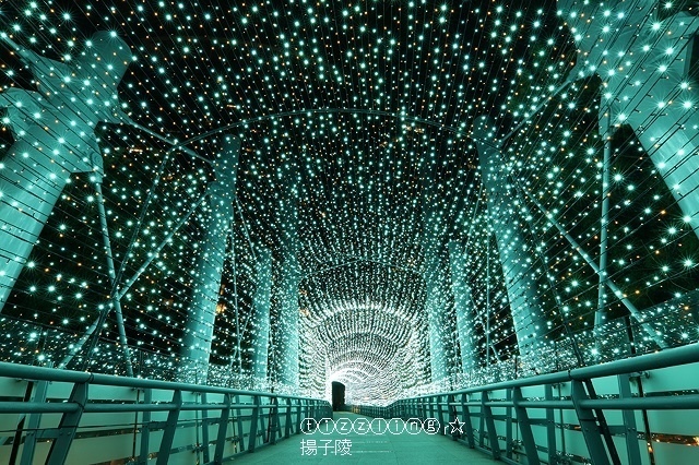 美食窩客 揚子陵 推薦「2019新北市歡樂耶誕城」