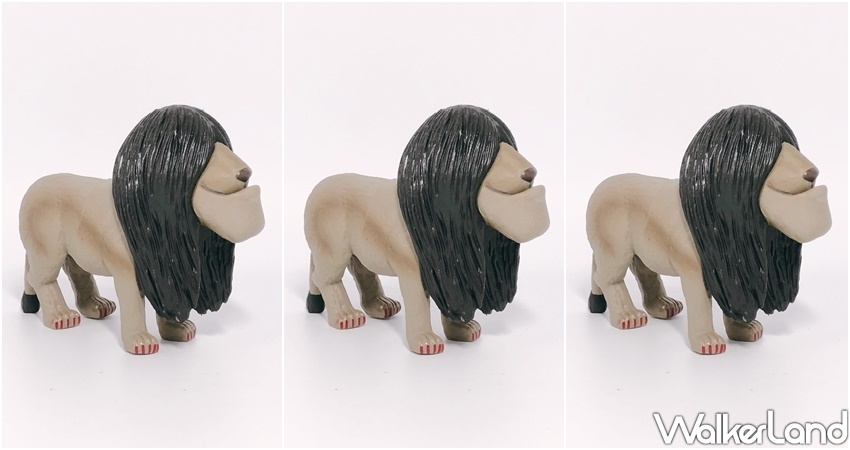 戽斗貞子 / WalkerLand窩客島整理提供 未經許可不可轉載