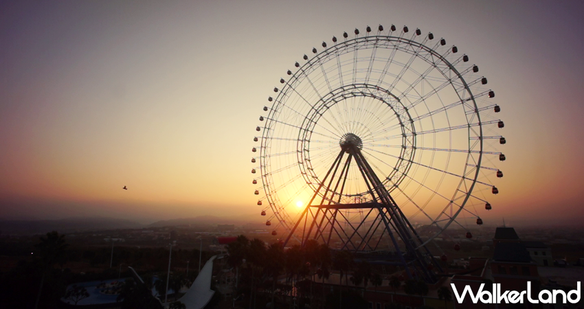麗寶樂園 落羽松秘境 / WalkerLand窩客島整理提供 未經許可,不得轉載 麗寶樂園 落羽松秘境 / WalkerLand窩客島整理提供 未經許可,不得轉載