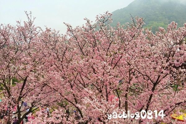 旅遊部落客 阿姚。抒生活 曾在「無極天元宮」 旅遊部落客 阿姚。抒生活 曾在「無極天元宮」