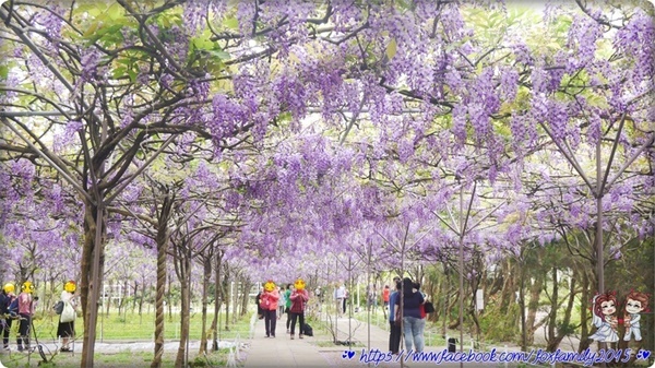 旅遊部落客 雪狐 曾在「紫藤咖啡園二店」 旅遊部落客 雪狐 曾在「紫藤咖啡園二店」