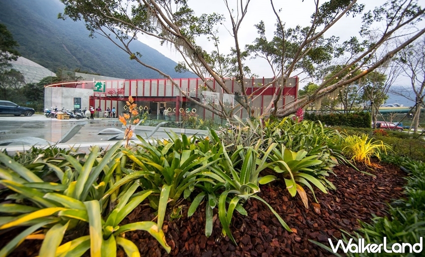 / WalkerLand窩客島整理提供 未經許可,不得轉載 / WalkerLand窩客島整理提供 未經許可,不得轉載