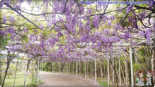 旅遊部落客 雪狐 曾在「紫藤咖啡園二店」 旅遊部落客 雪狐 曾在「紫藤咖啡園二店」