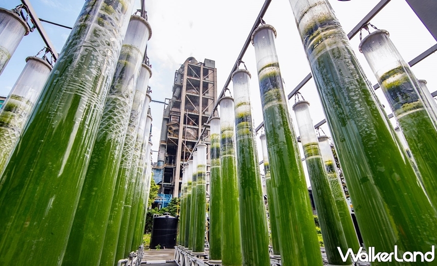 / WalkerLand窩客島整理提供 未經許可,不得轉載 / WalkerLand窩客島整理提供 未經許可,不得轉載