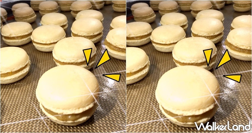 法國的秘密甜點 / WalkerLand窩客島整理提供 未經許可，不得轉載