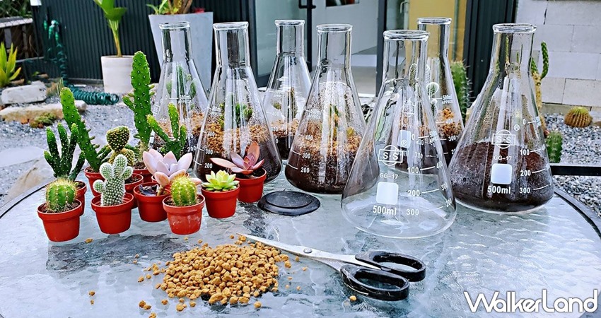 肉肉栽培研究所。多肉植物生態園區 / WalkerLand窩客島整理提供 未經許可，不得轉載