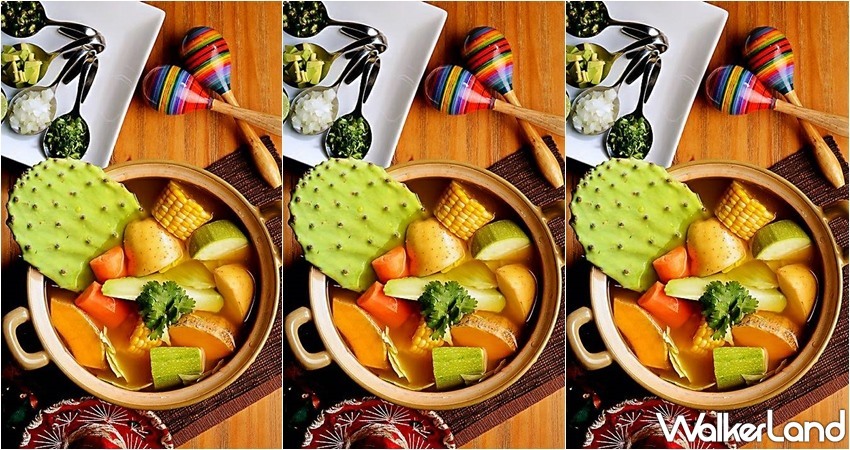 肉肉栽培研究所。多肉植物生態園區 / WalkerLand窩客島整理提供 未經許可，不得轉載