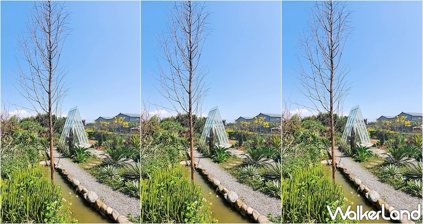 肉肉栽培研究所。多肉植物生態園區 / WalkerLand窩客島整理提供 未經許可，不得轉載