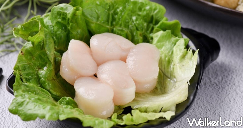 新竹巨城周邊美食「Share Share Pot 南洋鍋物」/ WalkerLand窩客島整理提供 未經許可不可轉載