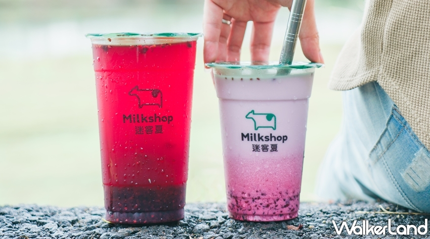 迷客夏 / WalkerLand窩客島提供 未經許可，不得轉載