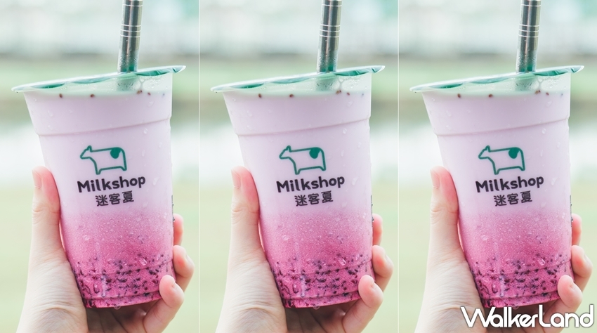 迷客夏 / WalkerLand窩客島提供 未經許可，不得轉載