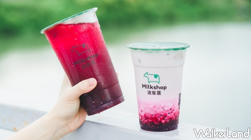 迷客夏 / WalkerLand窩客島提供 未經許可，不得轉載