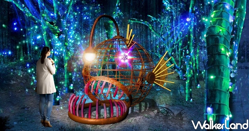 2020澎湖國際海灣燈光節 / WalkerLand窩客島整理提供 未經許可不可轉載