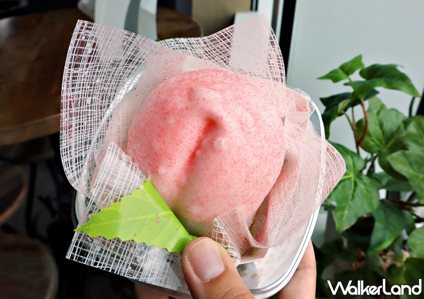 台北101觀景台 / WalkerLand窩客島整理提供 未經許可，不得轉載