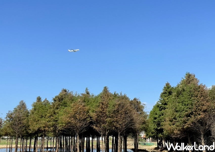 桃園綠色生活悠遊節 / WalkerLand窩客島整理提供 未經許可不可轉載 桃園綠色生活悠遊節 / WalkerLand窩客島整理提供 未經許可不可轉載