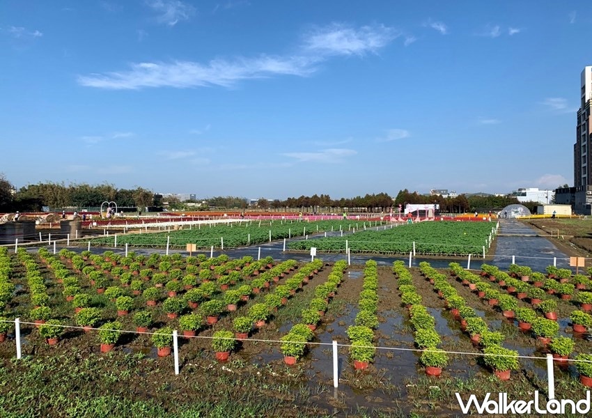 桃園綠色生活悠遊節 / WalkerLand窩客島整理提供 未經許可不可轉載 桃園綠色生活悠遊節 / WalkerLand窩客島整理提供 未經許可不可轉載