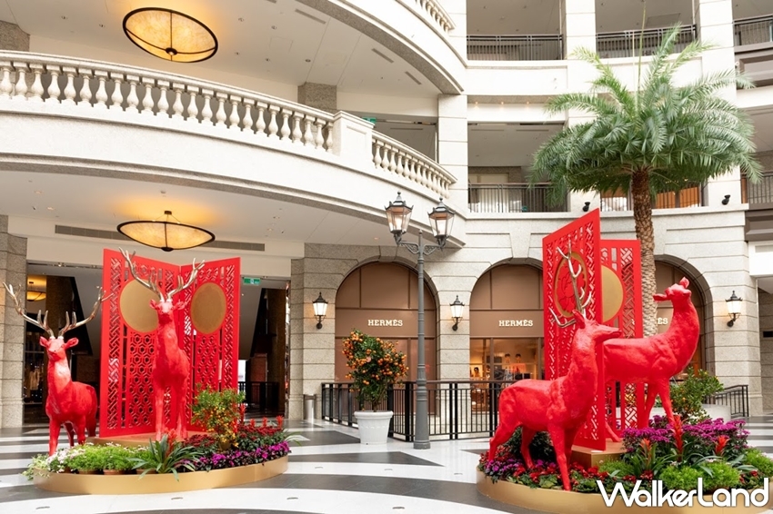 BELLAVITA / WalkerLand窩客島提供 未經許可，不得轉載