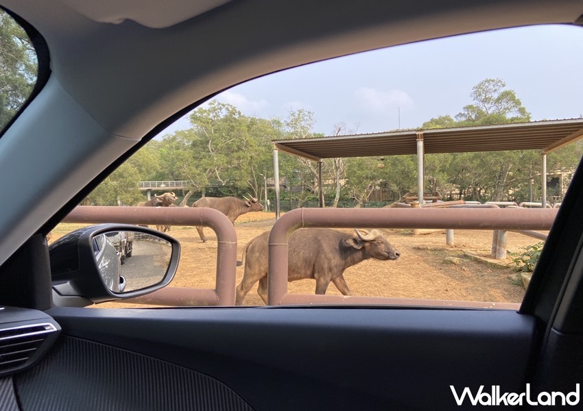 2021兒童節遊樂園優惠 / WalkerLand窩客島整理提供 未經許可,不得轉載 2021兒童節遊樂園優惠 / WalkerLand窩客島整理提供 未經許可,不得轉載