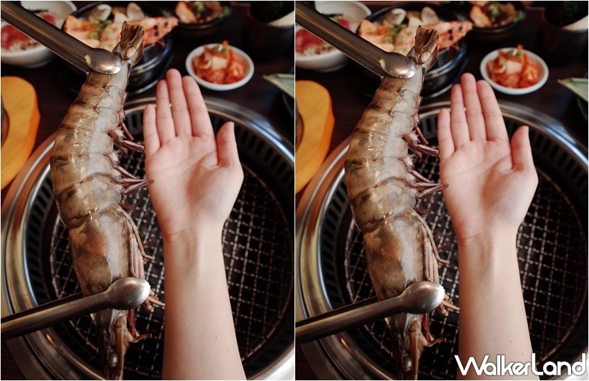 燒肉眾精緻炭火燒肉 / WalkerLand窩客島整理提供 未經許可,不得轉載 燒肉眾精緻炭火燒肉 / WalkerLand窩客島整理提供 未經許可,不得轉載