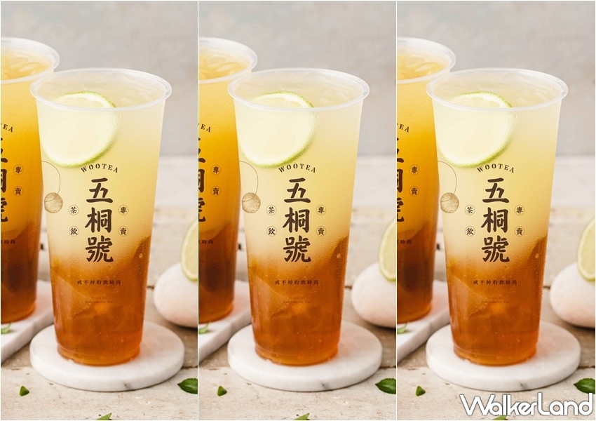 ​​五桐號 夏季新品 / WalkerLand窩客島整理提供 未經許可，不得轉載