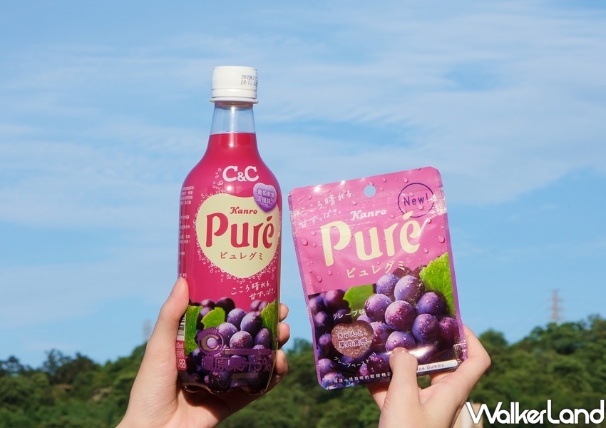 日本pure葡萄軟糖變汽水了 挑戰最強聯名 黑松c C Pure氣泡飲 第二件6折 全台限量19萬瓶只在 全家 才有賣 Taipeiwalker Japanwalker Walkerland