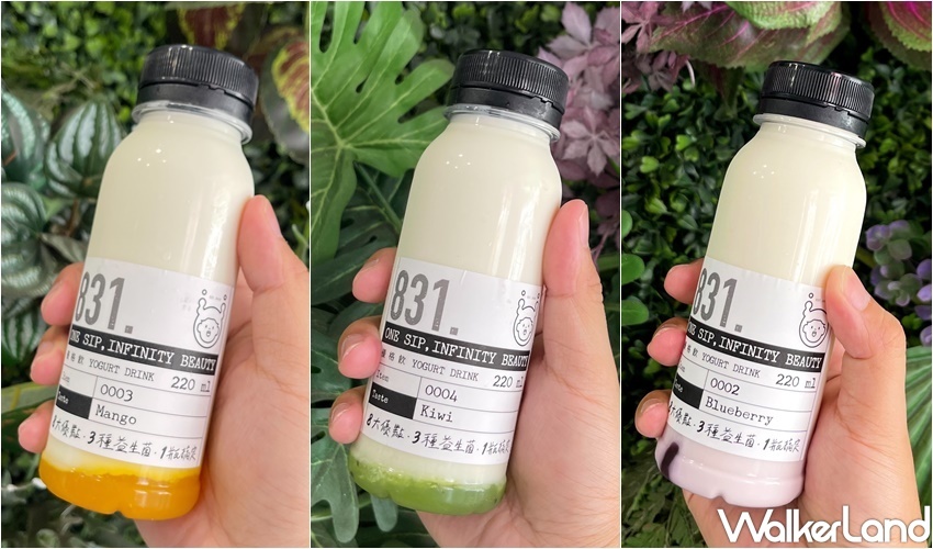 圓石酸奶 831優格飲 / WalkerLand窩客島整理提供 未經許可，不得轉載