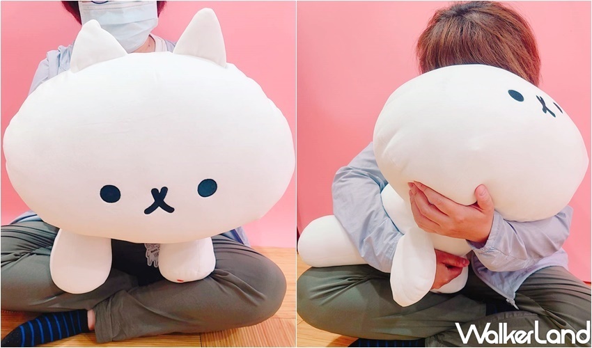 反應過激的貓五周年期間限定店 / WalkerLand窩客島整理提供 未經許可，不得轉載