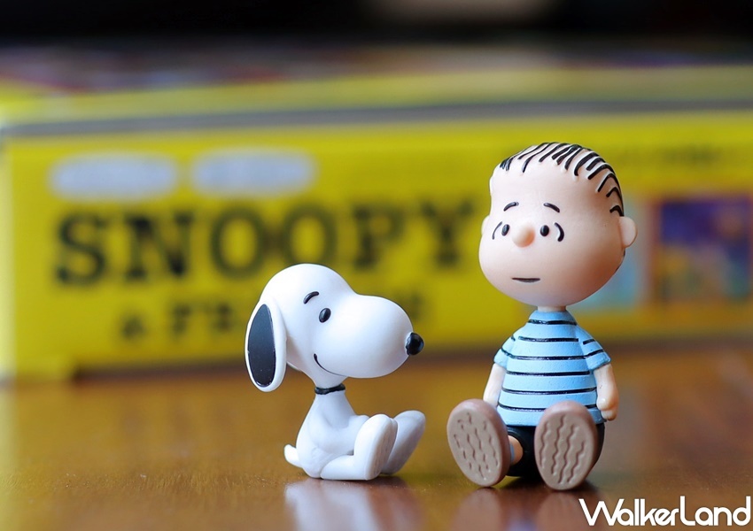 SNOOPY & FRIENDS(周刊)  / WalkerLand窩客島整理提供 未經許可，不得轉載