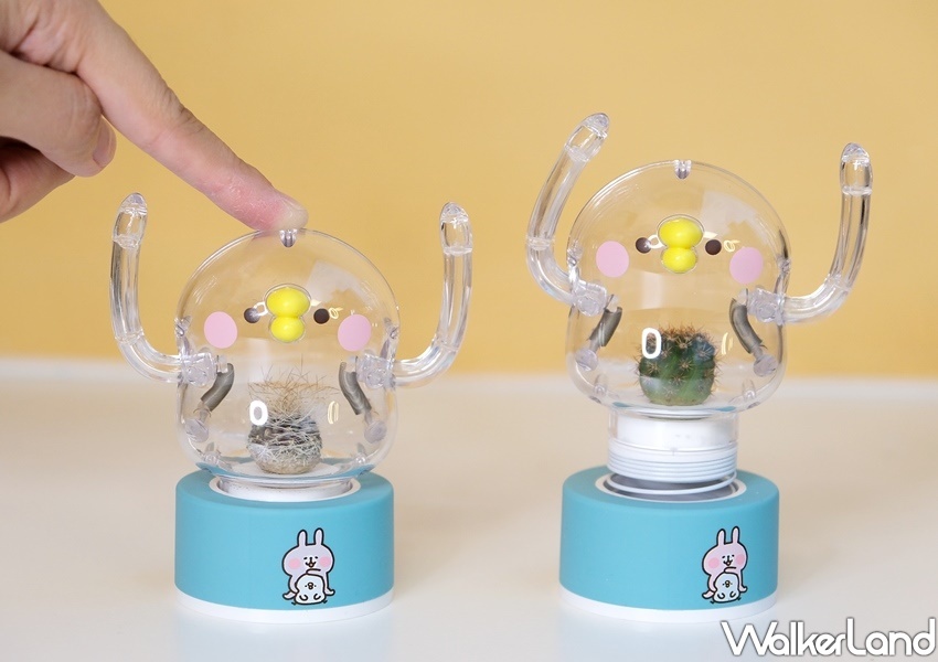 卡娜赫拉的小動物「彈簧P助小植物擺飾」/ WalkerLand窩客島整理提供 未經許可不可轉載