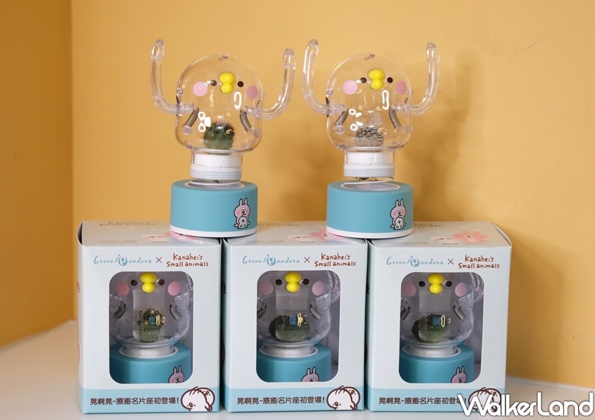 卡娜赫拉的小動物「彈簧P助小植物擺飾」/ WalkerLand窩客島整理提供 未經許可不可轉載