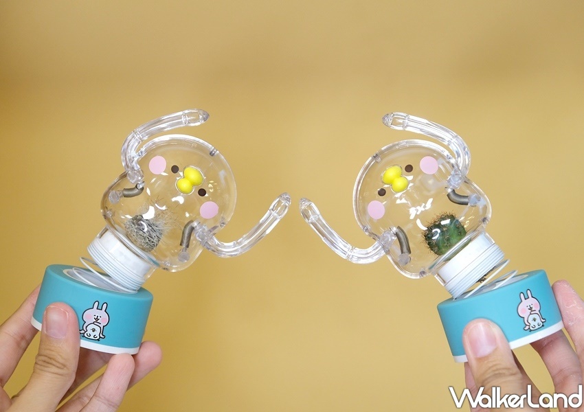 卡娜赫拉的小動物「彈簧P助小植物擺飾」/ WalkerLand窩客島整理提供 未經許可不可轉載