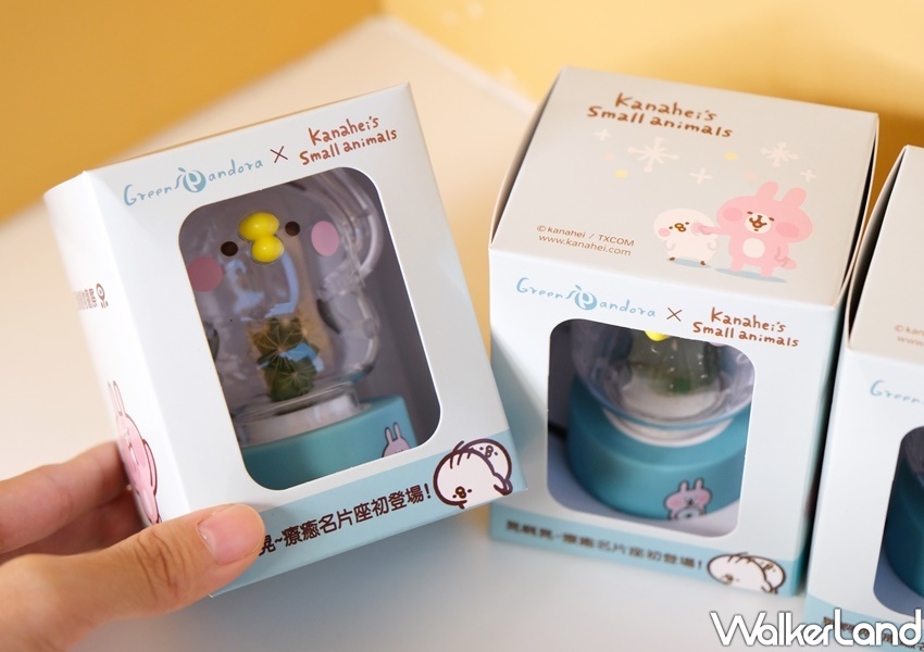 卡娜赫拉的小動物「彈簧P助小植物擺飾」/ WalkerLand窩客島整理提供 未經許可不可轉載