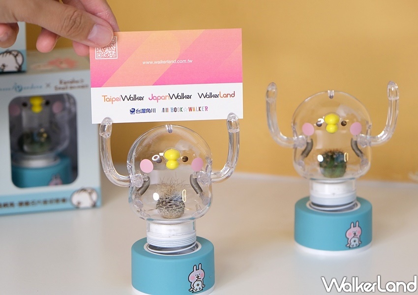 卡娜赫拉的小動物「彈簧P助小植物擺飾」/ WalkerLand窩客島整理提供 未經許可不可轉載