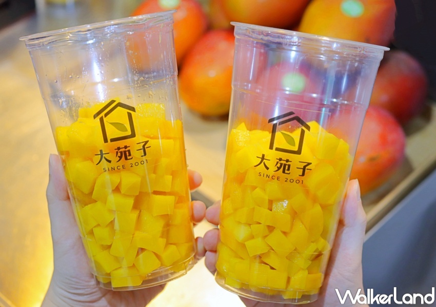 大苑子 芒果季 / WalkerLand窩客島提供 未經許可，不得轉載