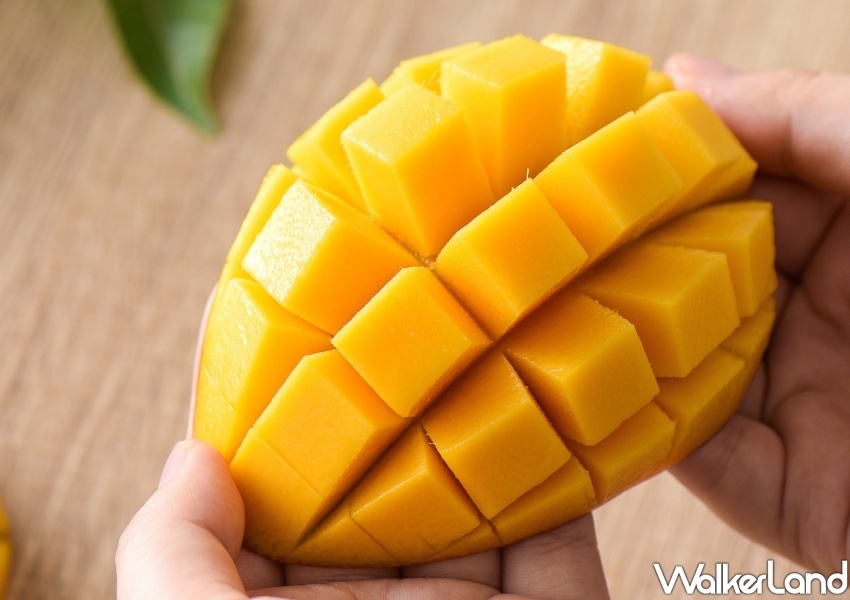 買一送一優惠整理 / WalkerLand窩客島整理提供 未經許可,不得轉載 買一送一優惠整理 / WalkerLand窩客島整理提供 未經許可,不得轉載