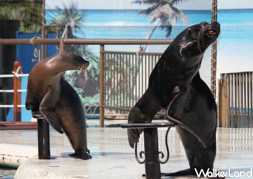 「有閑購物」5大遊樂園門票優惠 / WalkerLand窩客島整理提供 未經許可,不得轉載 「有閑購物」5大遊樂園門票優惠 / WalkerLand窩客島整理提供 未經許可,不得轉載