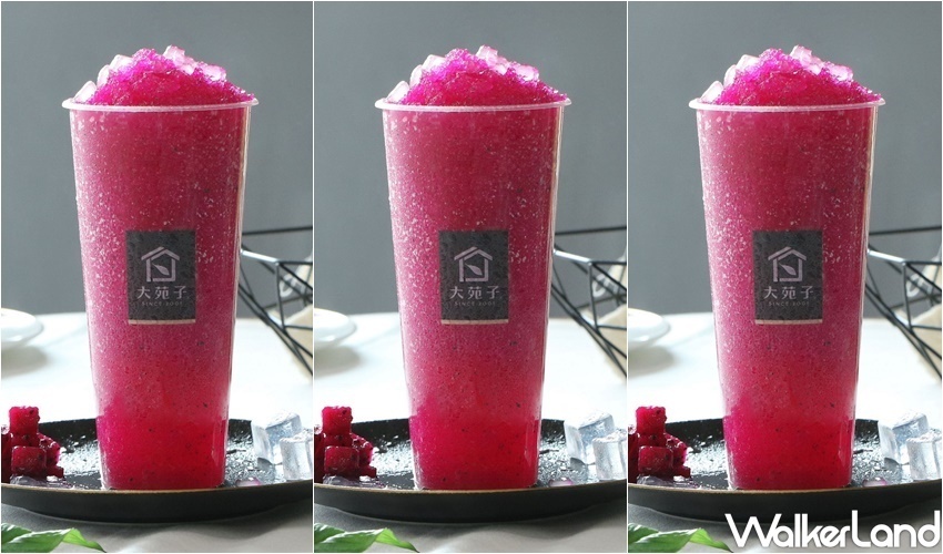 大苑子「歡聚分享月」優惠活動 / WalkerLand窩客島整理提供 未經許可，不得轉載