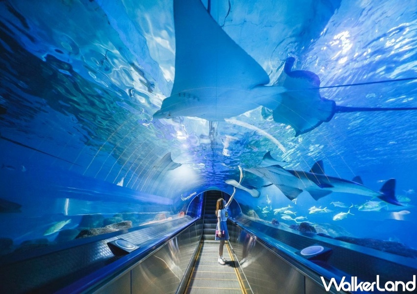 「有閑購物」5大遊樂園門票優惠 / WalkerLand窩客島整理提供 未經許可,不得轉載 「有閑購物」5大遊樂園門票優惠 / WalkerLand窩客島整理提供 未經許可,不得轉載