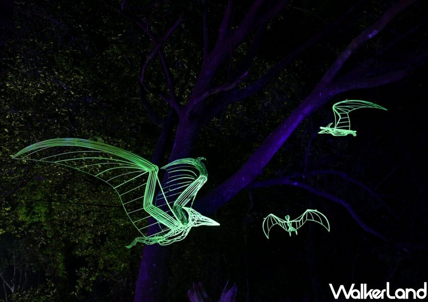 金門星光節 / WalkerLand窩客島整理提供 未經許可不可轉載