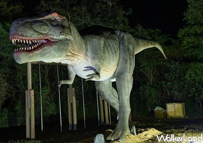 金門星光節 / WalkerLand窩客島整理提供 未經許可不可轉載