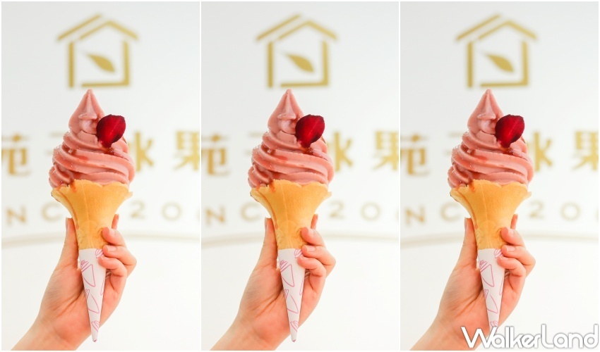 大苑子 荔枝系列 / WalkerLand窩客島整理提供 未經許可，不得轉載